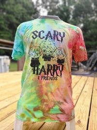 Scary Harry