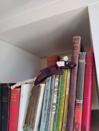 Image 5 of POCKET RAT - REGULAR STEVE