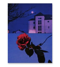 Image 1 of PICK ROSES AT NIGHT X