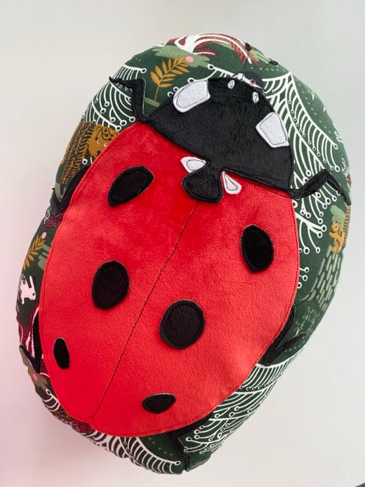 Raggy Roux ladybird cushion 