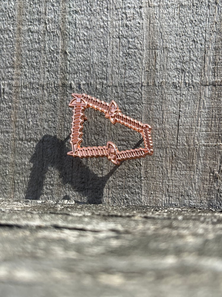 Image of Rose gold screwera pin