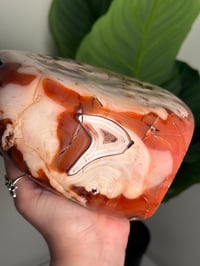 Image 3 of XXL MOSSY CARNELIAN FREEFORM -MADAGASCAR- 