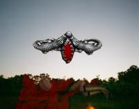 Image 3 of Alligator Knuckles