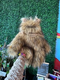 Jumbo XL Yorkie Bloog TinkerBell 🤎