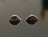 NEW Silver Half Moon Earrings