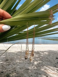 Image 4 of Seaside Shell Dangles