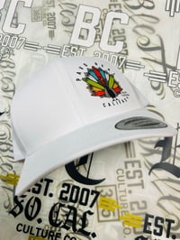 Image 2 of PAVO REAL