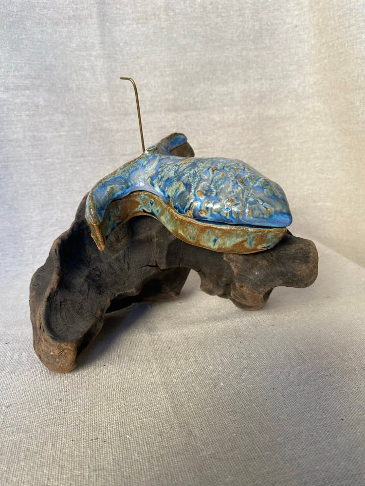 Image of Caja Pez II ~ Mensajeros del agua