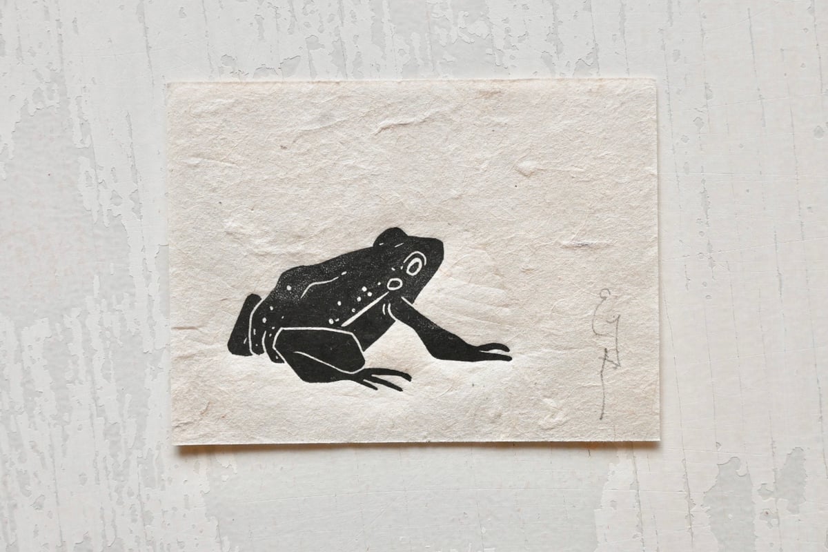 Image of Frog #3