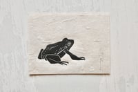 Image 1 of Frog #3