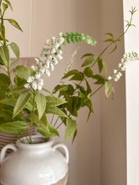 Image 3 of Ditsy Foliage Sprays ( 3 included )