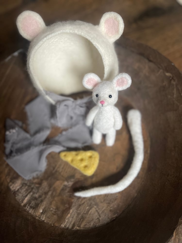 Image of Little Mouse in the house 