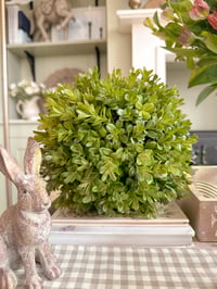 Image 1 of SALE! Large Boxwood Ball