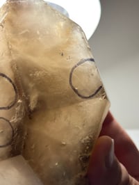 Image 9 of Smoky Quartz Enhydro Multi Terminated Crystal | Zambia #2966 