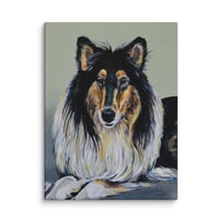 Image 2 of Rough Collie