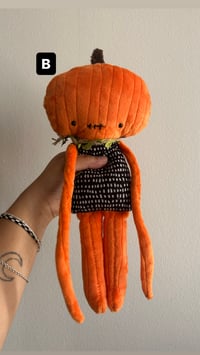 Image 3 of Pumpkin Rag Dolls