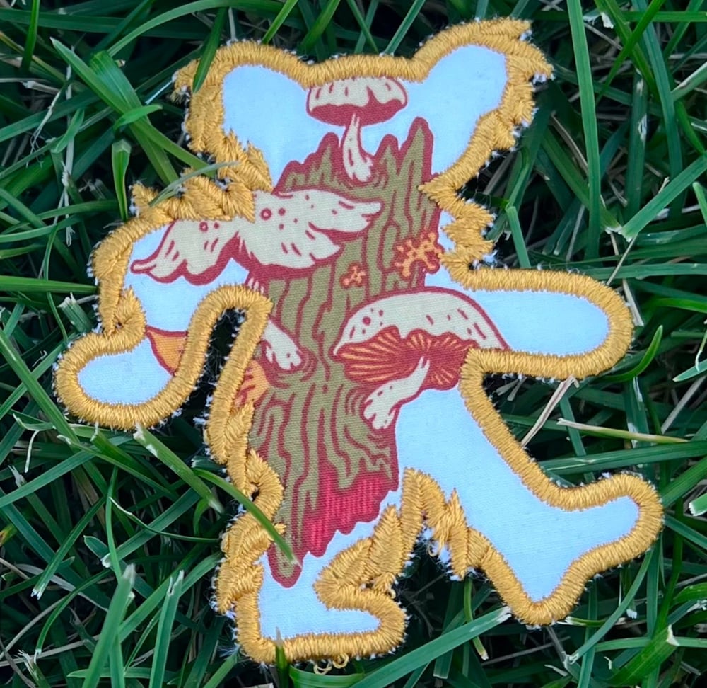 Image of Bear Patch 23