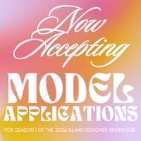 IDS Spring 2026 MODEL APPLICATION 