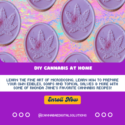 Image of DIY Cannabis at Home: Microdosing, Ratios & Recipes- CBD.SA.401