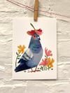 Pigeon With A Flower Hat