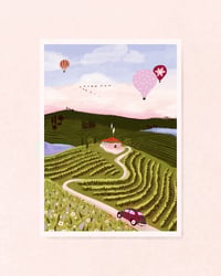 Image 2 of The Wine Way