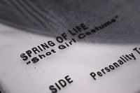 Image 3 of Spring of Life - “Shot Girl Costume” LP