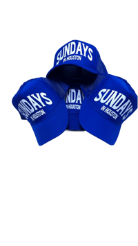 ROYAL BLUE AND WHITE TRUCKER HAT 