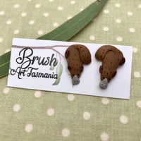 Platypus Studs