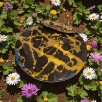 Image 5 of Marble-Stvle Decorative Tray Set | Handcrafted Stone Art Unique Home Decor. 36 cm diameter. 