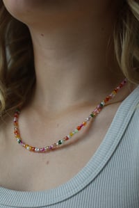 Image 1 of Candyland (long)