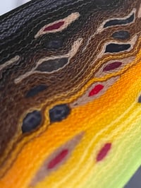 Image 9 of Brown Trout by Mikie