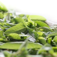 Image 1 of Lemongrass Sage