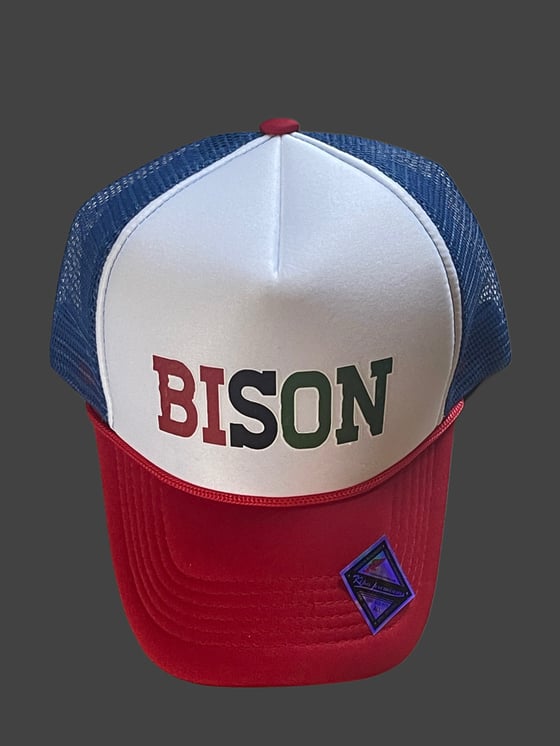 Image of BISON TRUCKER HAT