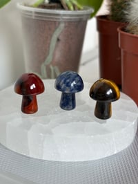 Image 2 of Assorted Mushroom Carvings