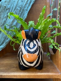 Image 3 of Osaka Fern in Funky Zebra Pot