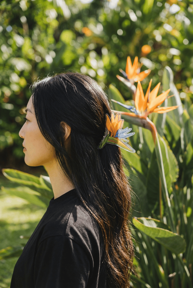 Image of Bird of Paradise Hunny Girl Claw Clip