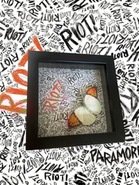 Paramore Riot (Pre-order)