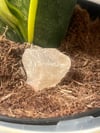Golden Healer Quartz Raw
