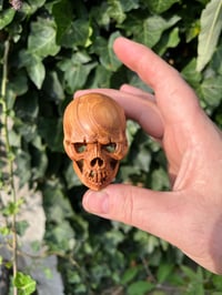 Image 4 of Olive wood skull