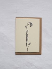 Image 1 of Lady’s Smock Flower Greeting Card A6