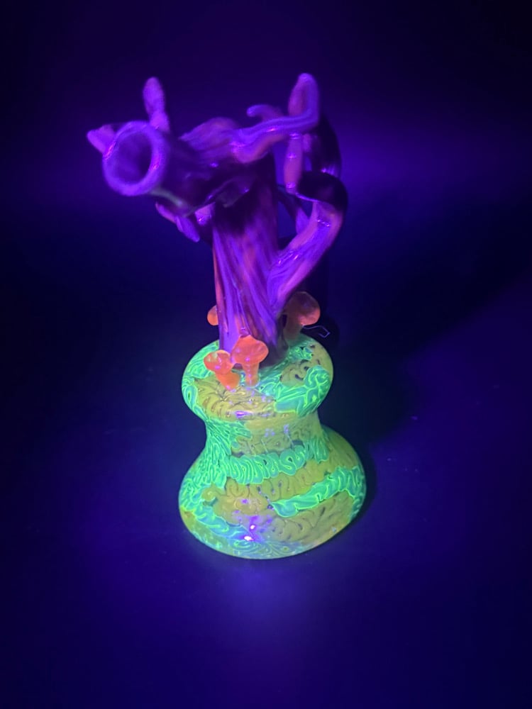 Image of Chanterelle Jammer