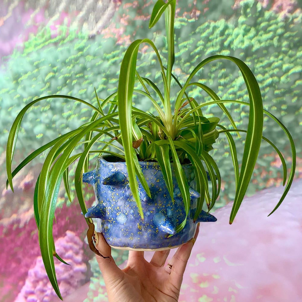 Image of Phobos Plant Pot