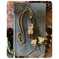 Image 1 of Victorian Hand Raw Triplet Quartz Solid Brass Bottle Necklace