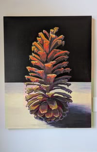 Image 2 of Long Leaf Pine Cone #2
