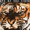 Survivor - Eye Of The Tiger 