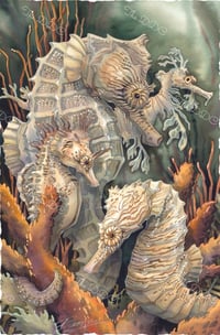 Image 1 of Sea Horses Full Size Diamond Painting by Jody Bergsma