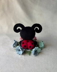 Image 3 of Dotty (reserved for rtb winner)