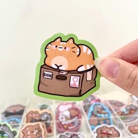 Image 2 of Ginger Cat Box