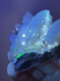 Image 7 of Ram’s Horn Selenite, Gypsum Specimen | Guizhou China #3048