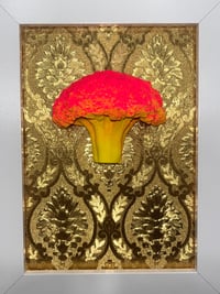 Good Gold Broccoli 